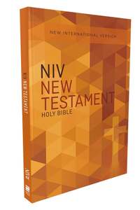 Zondervan: NIV, Outreach New Testament, Paperback