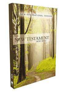 NIV, Outreach New Testament, Paperback