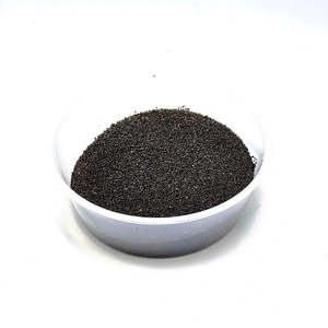 Herbs Spices: HESARI Basil Seeds 100g