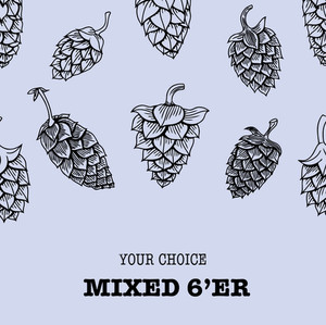 Mixed 6'er Heyday Beer