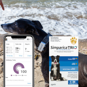 Products: Heyrex™2 Healthy Dog Starter Bundle