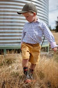 Alex Shirt in Navy Check