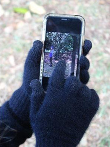 Products: Conductive Glove (9907) possum merino