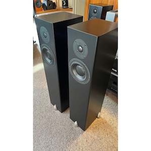 Totem - Forest Speakers - Previously Enjoyed - WELLINGTON STORE