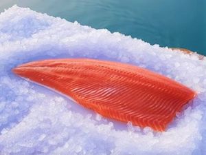 Frontpage: Standard Fillets