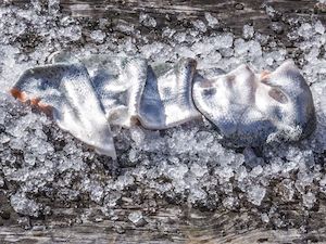 Frontpage: Salmon Skins (pack of 5)