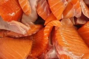 Salmon Offcuts - 500g bag - great value!
