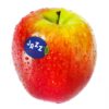Products: Tomatoes Truss Vine /kg