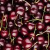 Cherries Loose