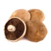 Products: Fennel Bulbs Loose