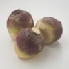 Red Radish Sprout Punnet