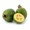 Products: Watermelon Small