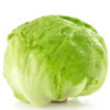 Frilly Lettuce