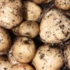 Products: 10kg Desiree Potato Bag
