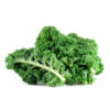 Products: Cabbage