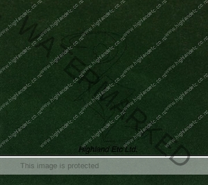 22 Glasgow Green » Cotton Velvet Highland Etc