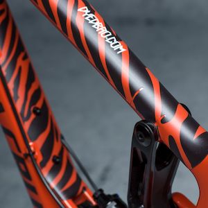 Frame Protection: DYEDBRO - ZEBRA