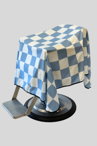 Rally V2 Cape