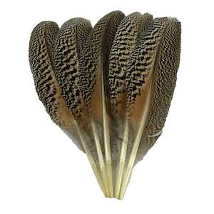 White Sage And Palo Santo: Smudging Feather