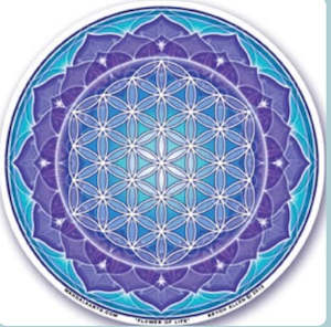 Window Stickers: Window Sticker Flower of Life