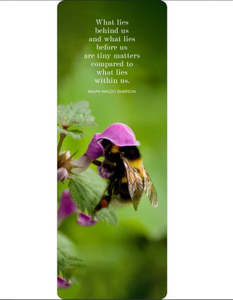 Bee BookMark 2