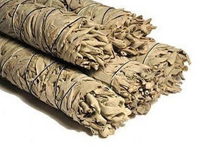 Californian White Sage Smudge 9 inch