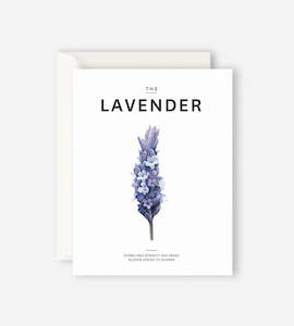 FATHER RABBIT // The Lavender Card