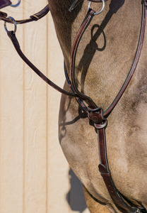 Ultimate Collection: Marvellous Martingale