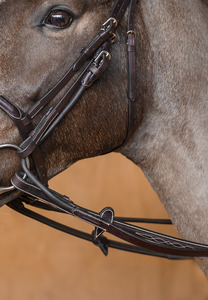 How To Beat The Winter Training Blues: Gag Reins