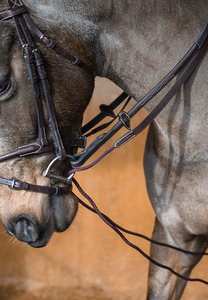 Draw Reins / Running Reins