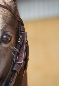 How To Beat The Winter Training Blues: Don’t Look Back Blinkers