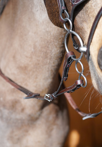 Horse: Forked / Split Reins