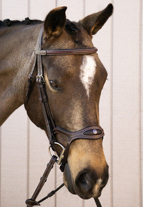 Anatomically Shaped: Completely Contoured Noseband