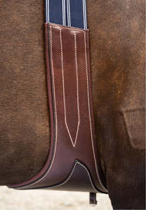 Anatomically Shaped: The Legend Stud Guard