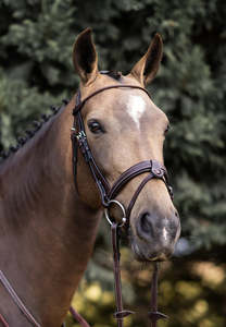 YHW Classic Bridle