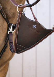 Eventing Must Haves: V-Bib
