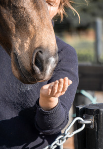 Hinterland Holiday Gift Guide: Gift Voucher