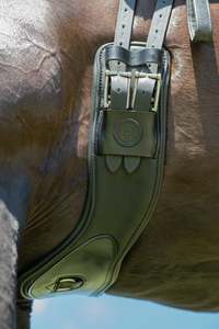 Champions Dressage Girth