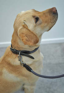 Rope Collar