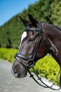 Chk-Chk Lets Go Bridle - Sale - Black
