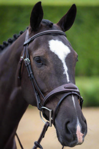 Sale: Ultimate Comfort Bridle - Sale - Black