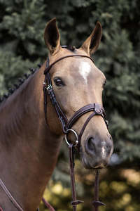 YHW Classic Bridle - Sale