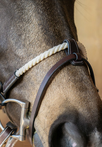 Rope Noseband