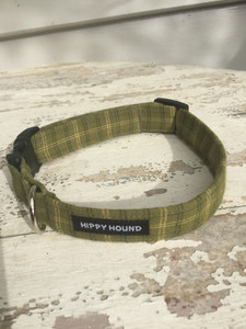 Matching green plaid lead hippy-hound