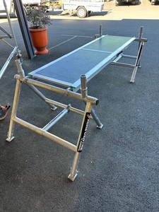 Trestle Ladder