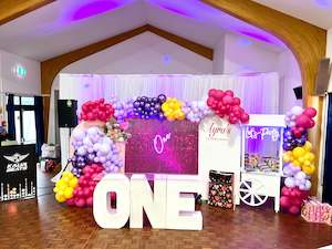 Party Packages: First Birthday | Baby Girl Birthday | Hotpink Shimmer wall | Luxury Birthdays Decoration