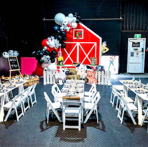 Party Packages: Barn/Farm Theme Birthday