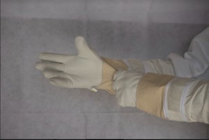 Ventilated bee gloves - Hive World