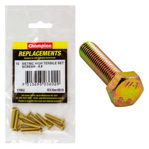 Champion M5 x 25mm x 0.8 Set Screw -Gr.8.8 -10pk