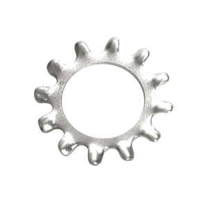 Champion 10mm External Star Washer - 100pk